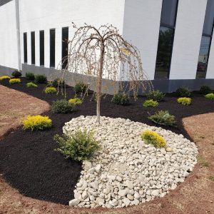 Landscape Design