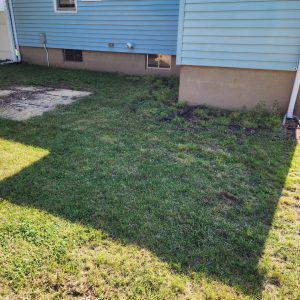 landscape lighting NJ