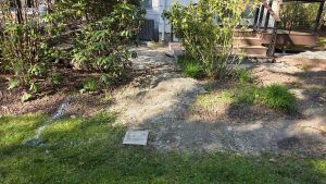 Hardscape Before